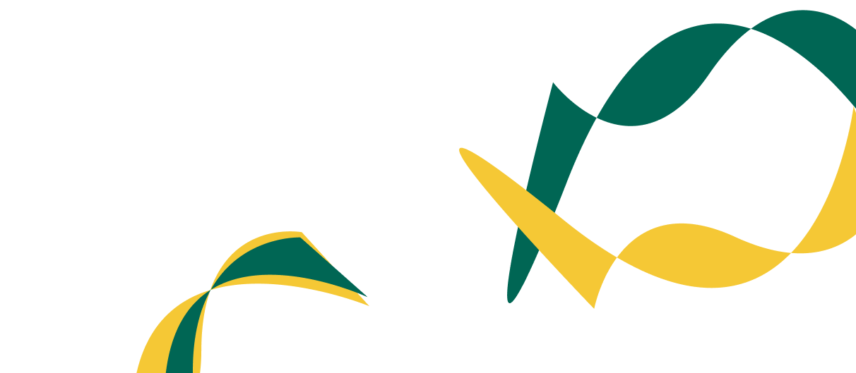 Expert Solutions for Corporate  Financial Success. - 雷竞技体育电竞直播
